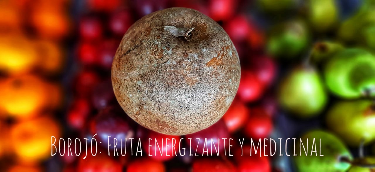 Conoce los beneficios del borojó: Fruta energizante y medicinal